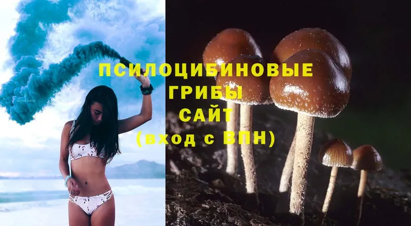 Галлюциногенные грибы MAGIC MUSHROOMS  купить наркотики цена  Нижняя Салда 