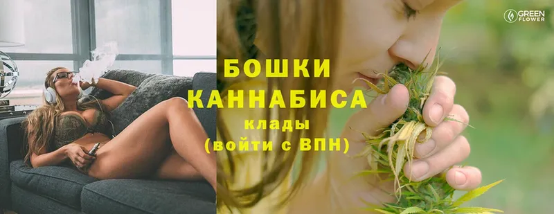 Шишки марихуана Amnesia  Нижняя Салда 